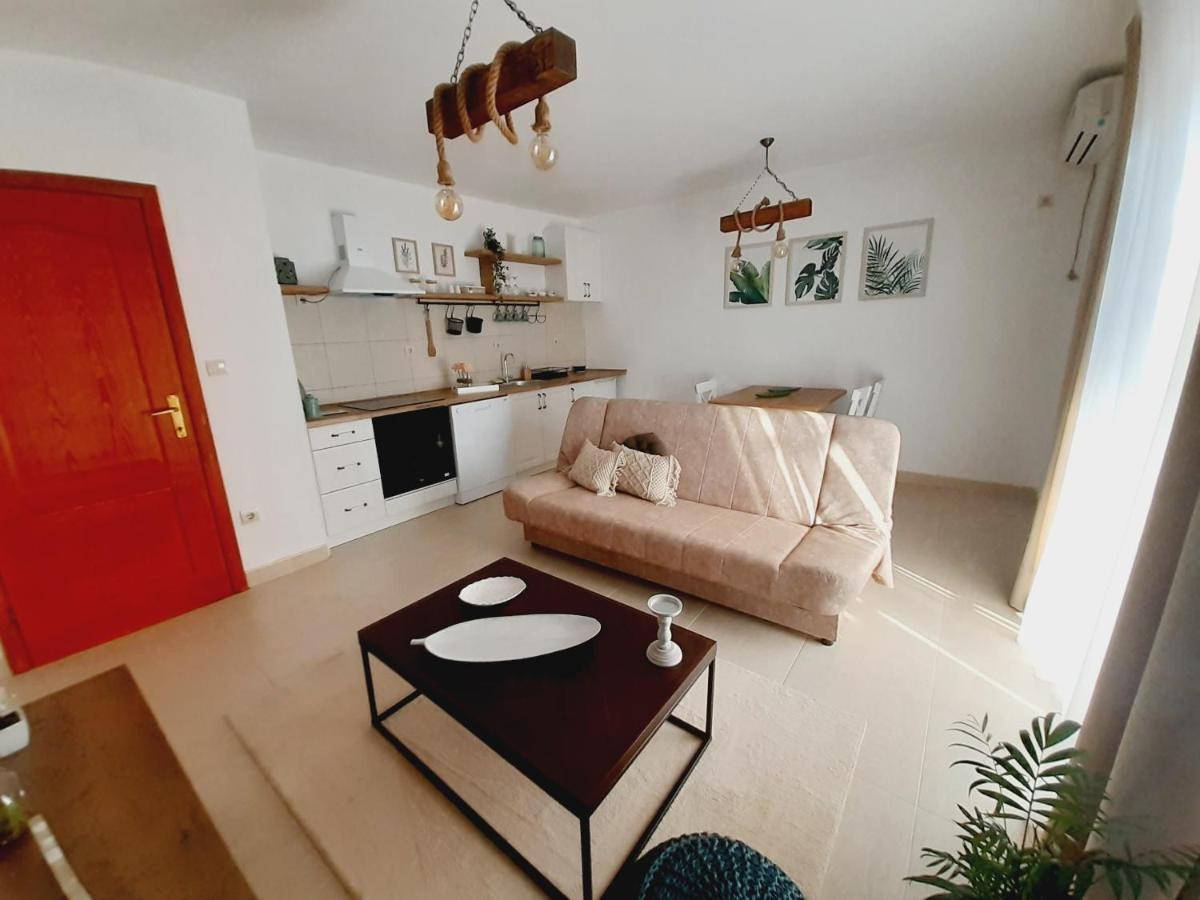 Apartment Macic Dub I Kotor Dış mekan fotoğraf