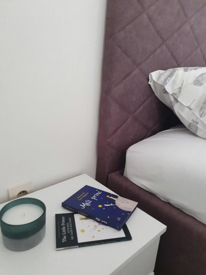 Apartment Macic Dub I Kotor Dış mekan fotoğraf