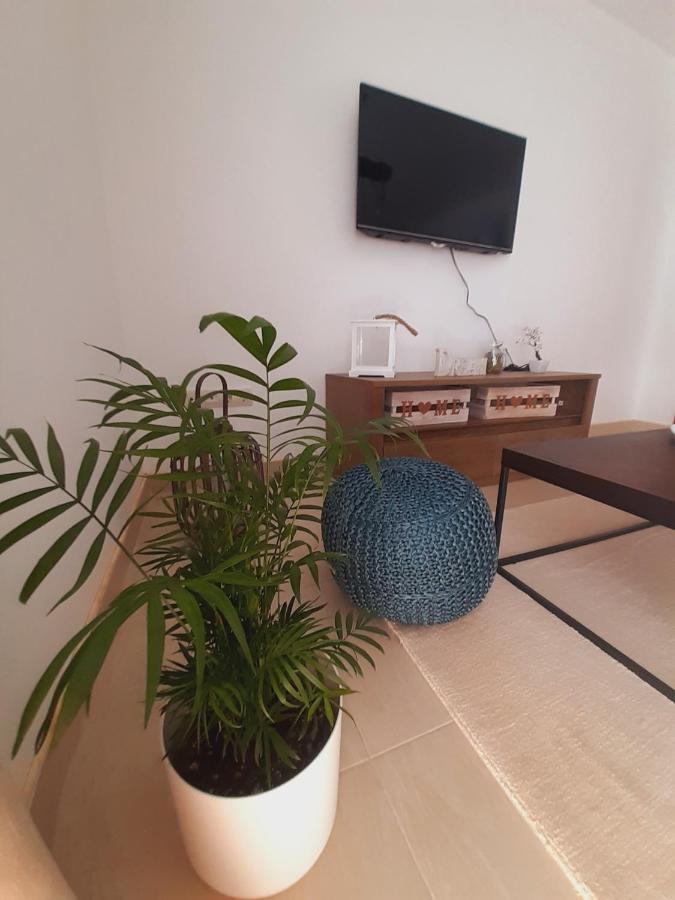 Apartment Macic Dub I Kotor Dış mekan fotoğraf